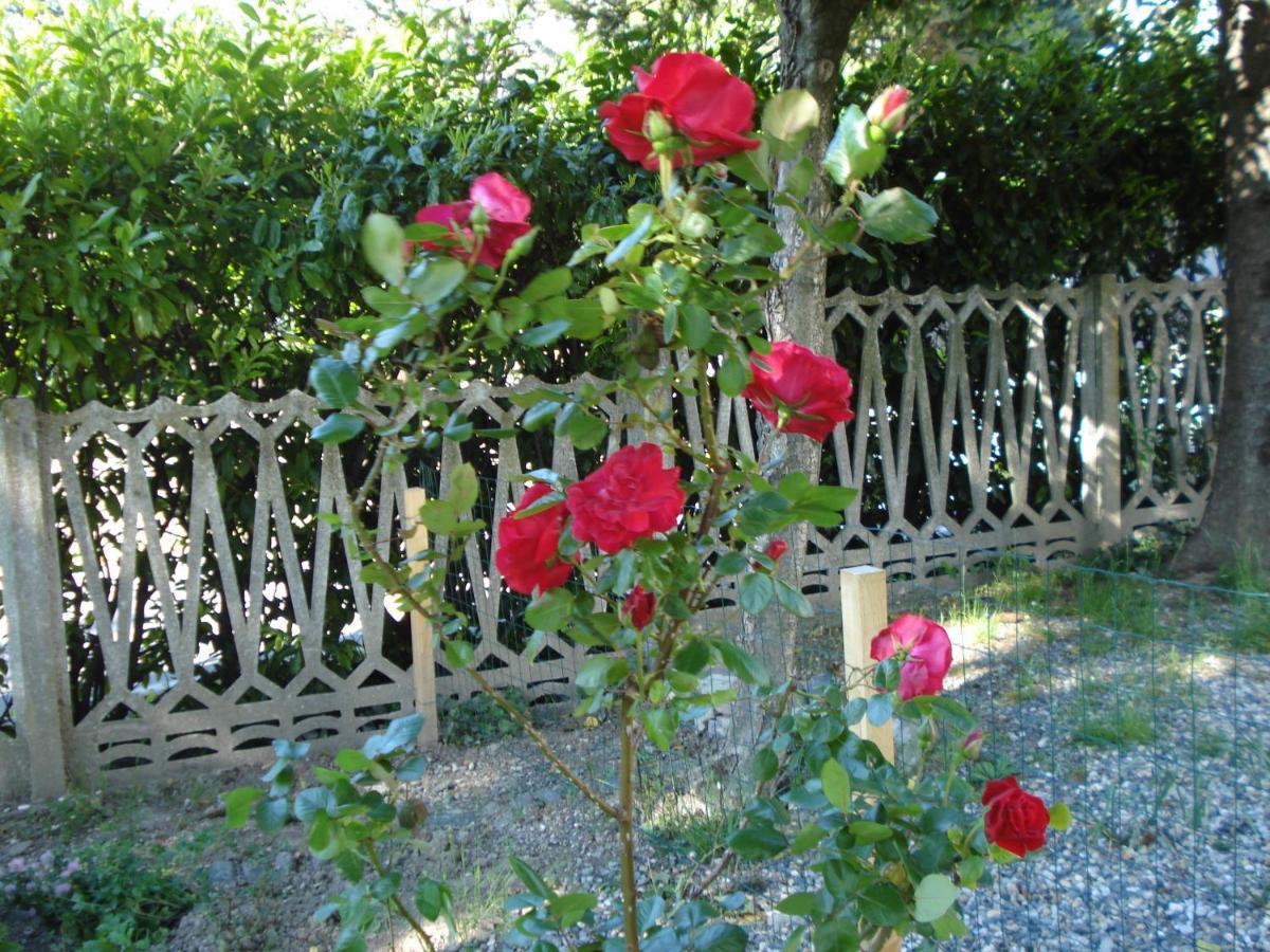 Casa T Bed And Breakfast & Home Restaurant Di Tacchino Simone Tagliolo Monferrato Esterno foto