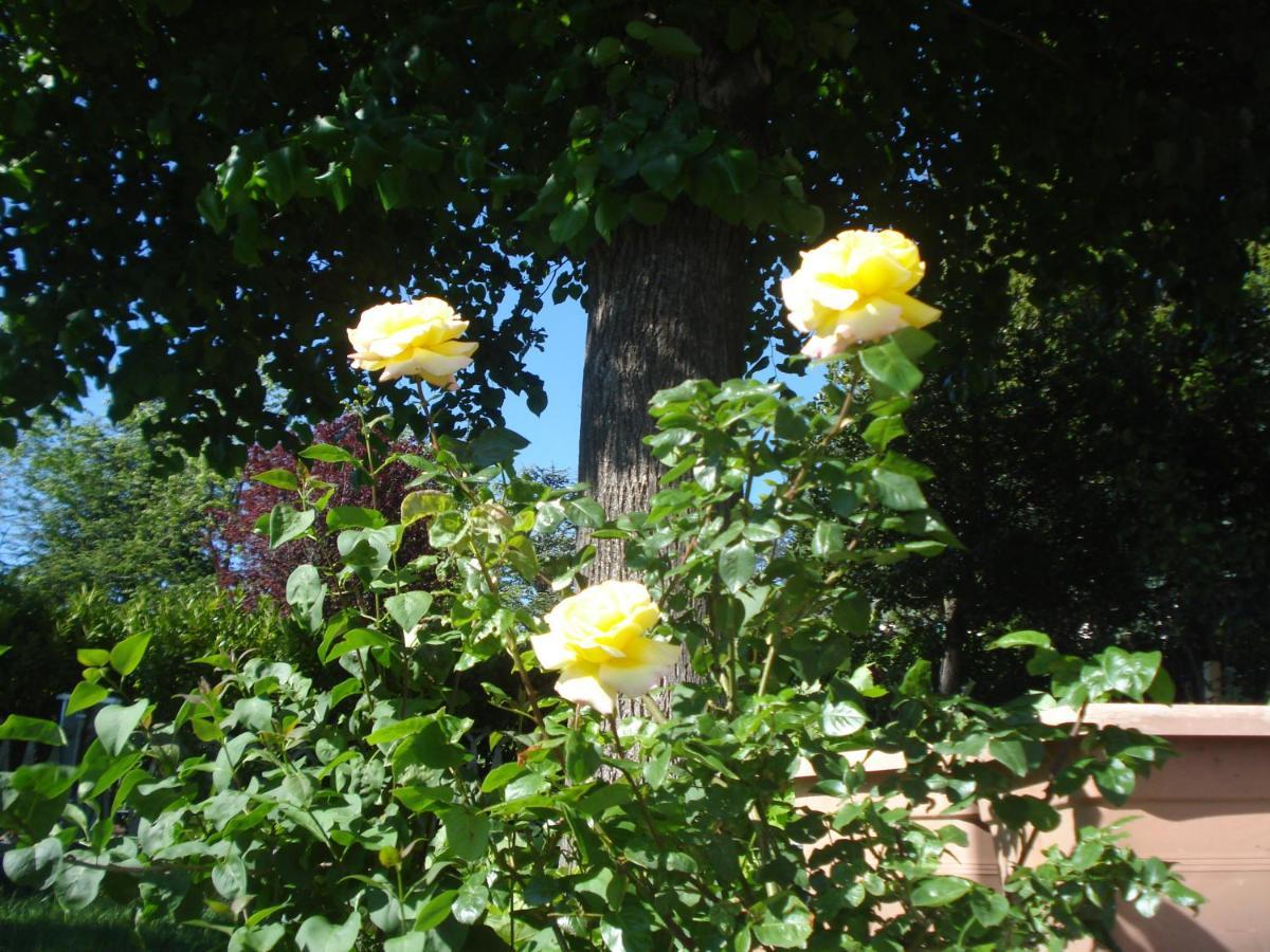 Casa T Bed And Breakfast & Home Restaurant Di Tacchino Simone Tagliolo Monferrato Esterno foto
